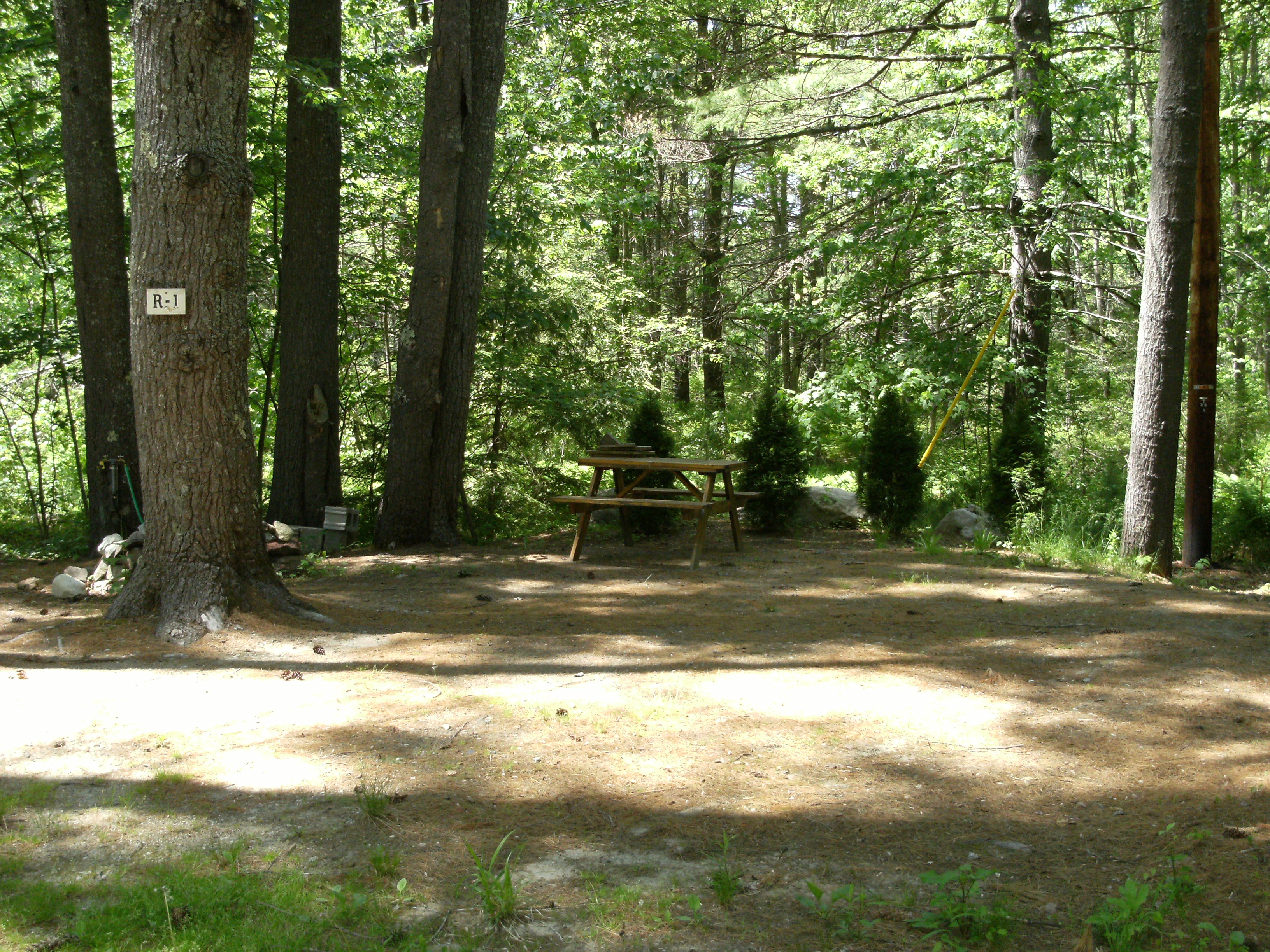 Camp Site 